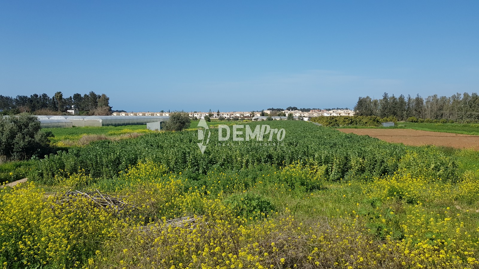 Residential Land  For Sale in Mandria, Paphos - DP1322