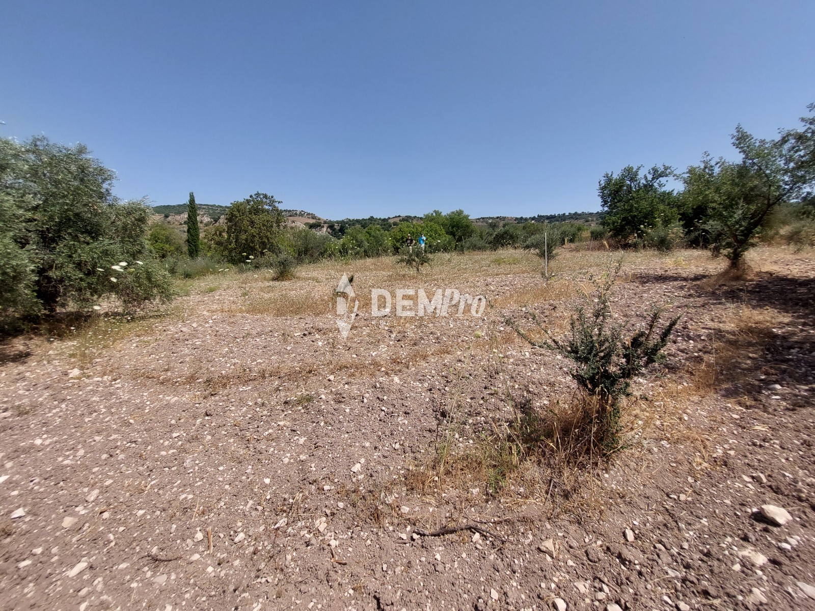 Residential Land  For Sale in Lasa, Paphos - DP3701