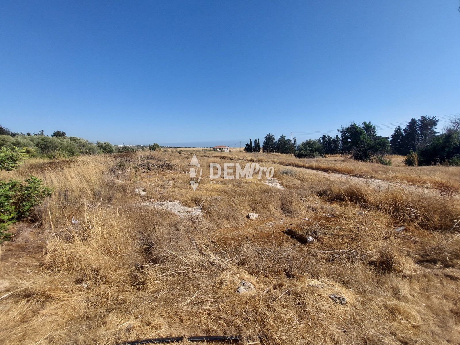 Agricultural Land For Sale in Kouklia, Paphos - PA10159