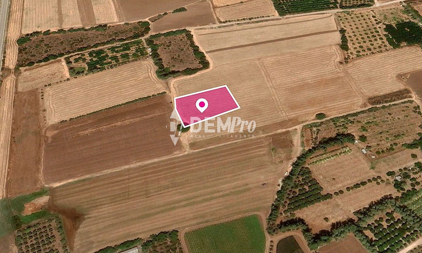 Agricultural Land For Sale in Timi, Paphos - DP3283