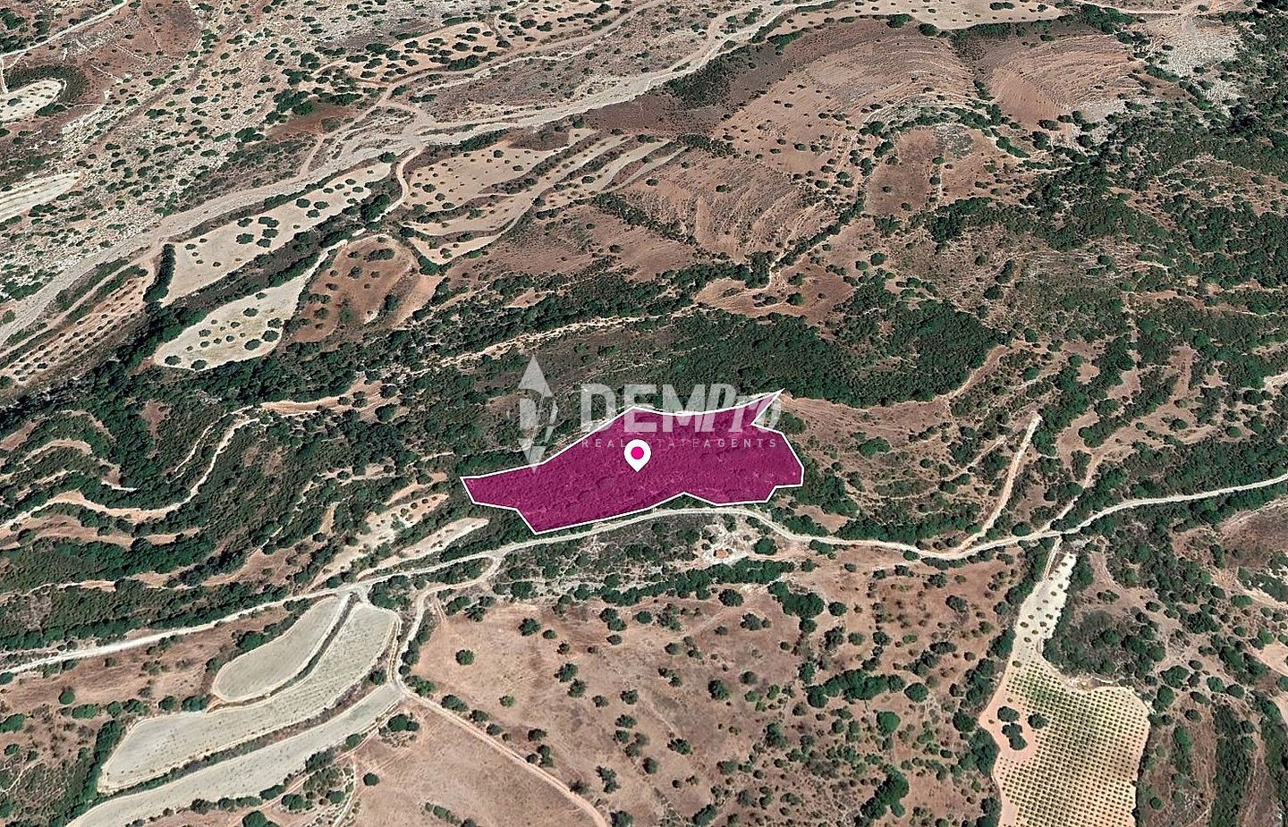 Agricultural Land For Sale in Choulou, Paphos - DP3333