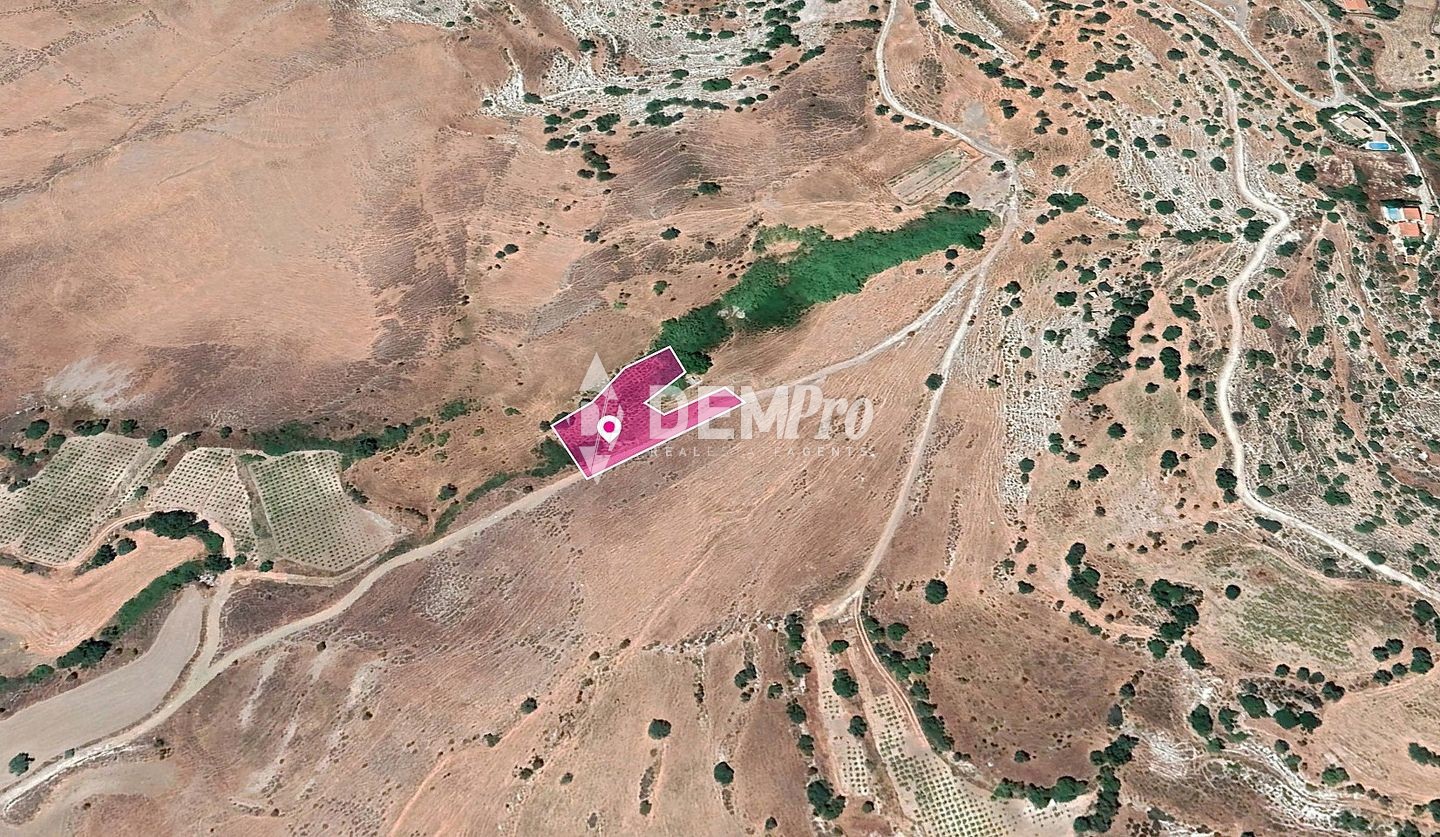 Agricultural Land For Sale in Agios Dimitrianos, Paphos - DP