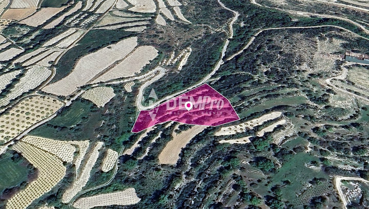 Agricultural Land For Sale in Koili, Paphos - DP3799